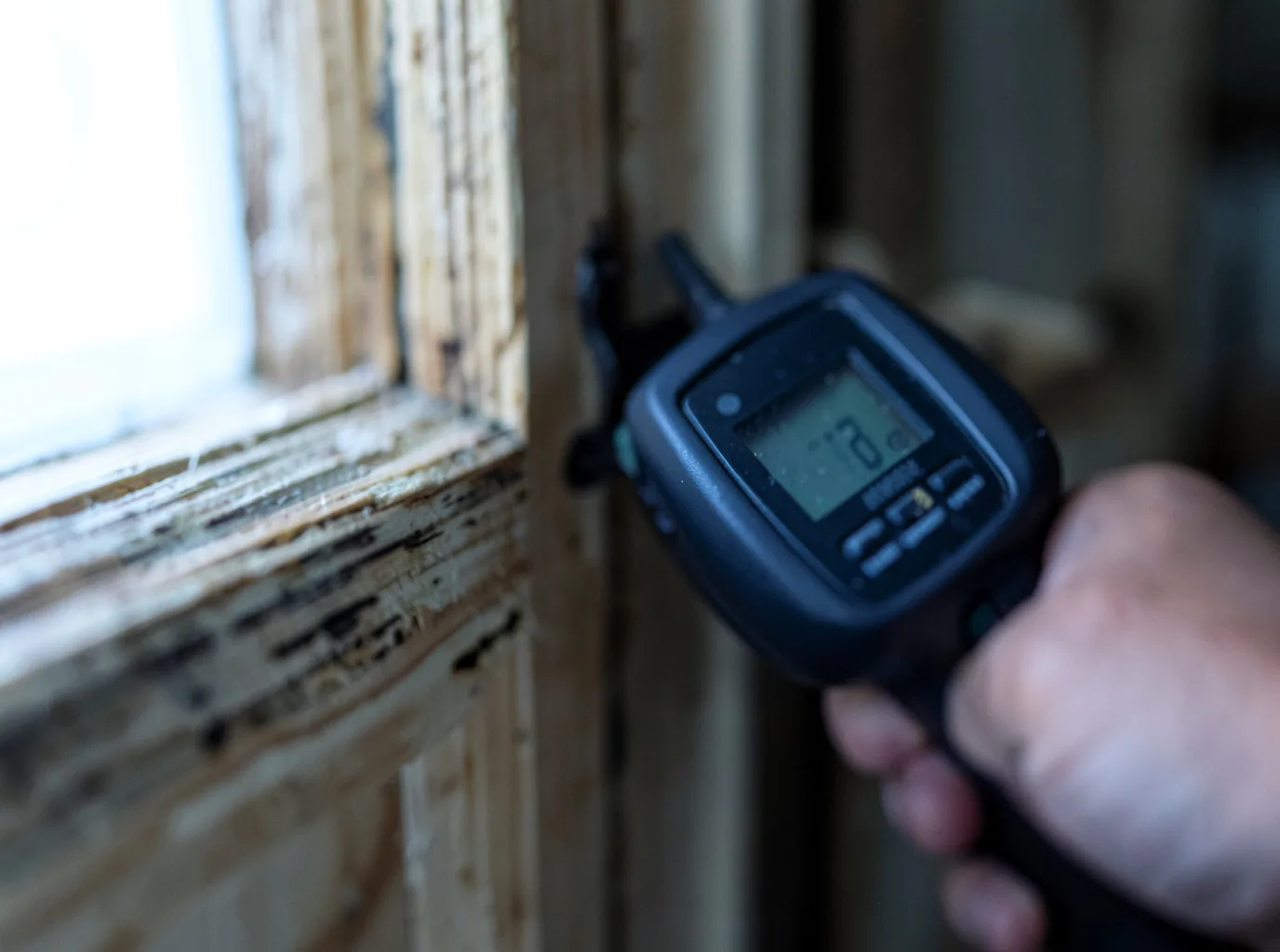 Moisture Inspection And Documentation in Clarissa, MN